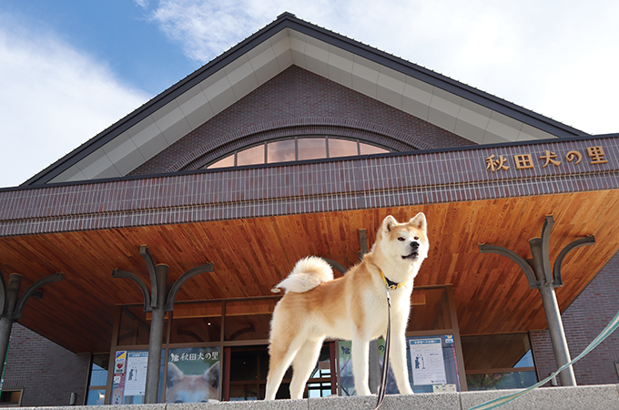 大館市観光交流施設「秋田犬の里」