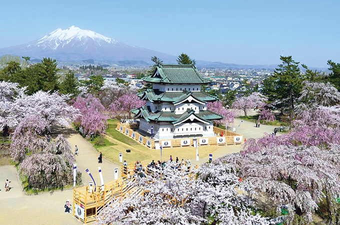 弘前公園の桜
